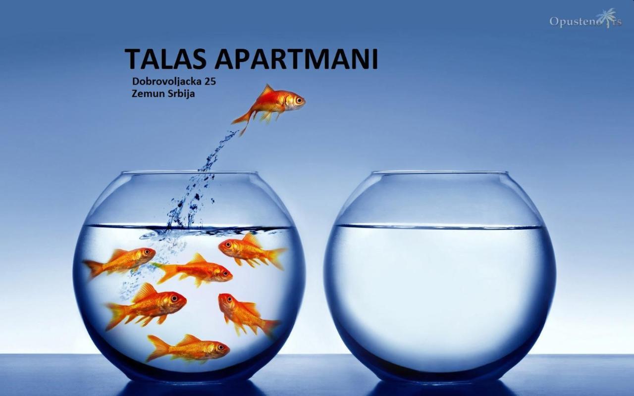 Apartman Talas